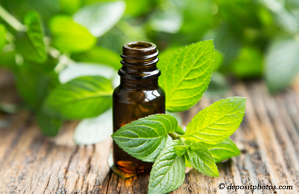 Plainville peppermint pain relieving benefits