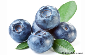 Plainville chiropractic and nutritious blueberries